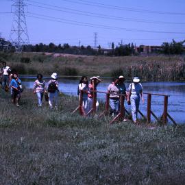 Walking in the grass near a pond - Hunter Wetlands Centre, Shortland