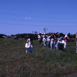 Walking in the grass - Hunter Wetlands Centre, Shortland