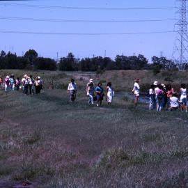 Walking in the grass - Hunter Wetlands Centre, Shortland