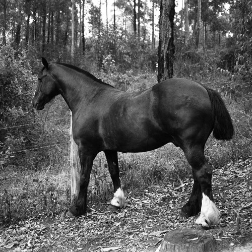 Jack Ingall - Mine worker. Recorded 26 May 1993. - Part 2 of 2