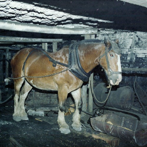 Richie Mackison (1905-1994) - Mine worker. Recorded 14 January 1994 - Part 1 of 2