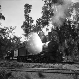[West Australian] logging locomotive No. 62, [ex-SAR Y Class], wood-burning, hauling cut timber, image 3 of 3 [n.d.]