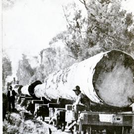 Logging scene, with unidentified men and rolling stock, unidentified location, [n.d.]