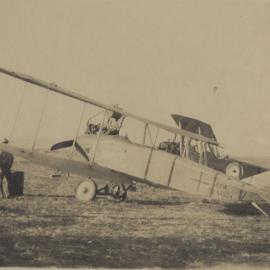 This bird settled in the aerodrome of Afuleh after it was captured