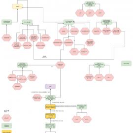 Coal & Allied "Family Tree"