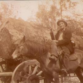 Photograph showing Billy Bowden on horse by a Brush Box log (20 feet x 11 feet 10 inches girth = 2,100 super feet) felled by Clive Bowden near Stoney Creek , 1940