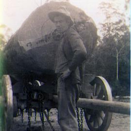 Clive Bowden in front of a Brush Box log (20 feet x 11 feet 10 inches girth = 2,100 super feet), 1940