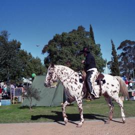 Rider of a spotted horse, Neighbourhood Watch Day, Rotary Park, Kurri Kurri, NSW, June 1988