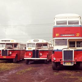 Kurri Kurri AEC Regent SD MO-378 (x 1457), AEC Regal III MO-3575 (x DOI Canberra), Leyl OPD1-1 MO-4819 (x 1834), depot yard, Kurri Kurri, NSW, 28 March 1971