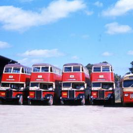 Toronto Bus AEC Regent III MO-4764 (x2223),, Albion SPCX19W 4388 (x1968), West Toronto, NSW, 14 March 1974
