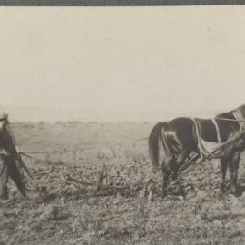 Ploughing at Rehoboth