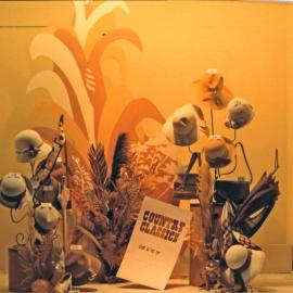 Window Display - "Country Classics"