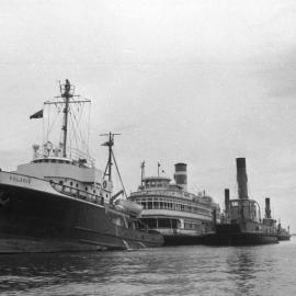 Tug Polaris, Showboat Sydney Queen, vehicular ferries Lurgurena, Koondooloo, Kooroongaba - Port Waratah, NSW, 27 December 1971