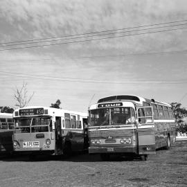 PTC of NSW, Leyland Leopard MK I 3665, Blue Ribbon Hino 5907, Peats Ridge, NSW, 24 May 1975