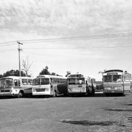Personality Mercedes O302 TV-524 TV592 5563, PTC Leopard MK I 3665, Blue Ribbon Hino 5907, Peats Ridge, NSW, 24 May 1975