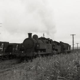 Locomotive No. 9 'Pelaw Main' and No. 10 'Richmond Main', Hexham, NSW, Richmond Vale Railway, January 1973