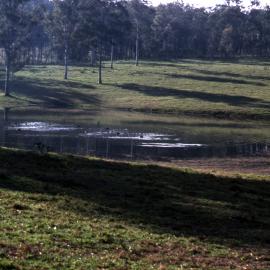 Rural dam, Ducks  - Medical Communication Unit, the University of Newcastle, Australia