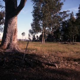 Paddock  - Medical Communication Unit, the University of Newcastle, Australia