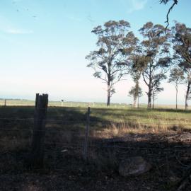 Paddock  - Medical Communication Unit, the University of Newcastle, Australia