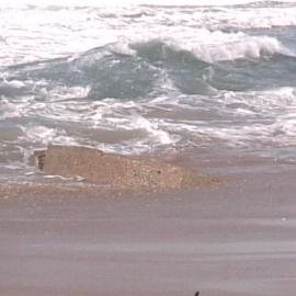 Erosion on Stockton Beach revealing army post, January 2006, Stockton, NSW