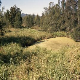 [ Surveyors Creek, NSW], April 1986