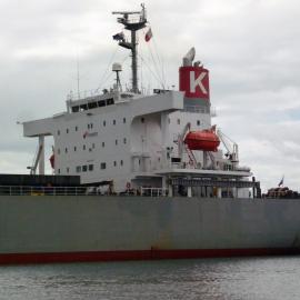 J P Gunjo (bulk carrier), Newcastle Harbour, NSW, 26 January 2013