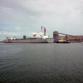 Bulk carrier, "J P Gunjo" and tugboat "Svitzer Hamilton", Newcastle Harbour, NSW, 26 January 2013