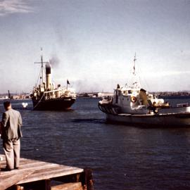 "SS Birubi", steamboat, [n.d.]