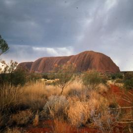Uluru - Medical Communication Unit, the University of Newcastle, Australia