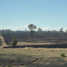 Bushfire at Bulga, NSW, December 2002