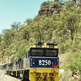 8250 at the head of unit 4 on a coal service for Ulan, waits at Kerrabee for a cross.