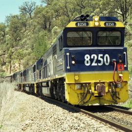 8250 and two classmates wait for the road on a down coal train at Kerrabee, NSW, October 1997
