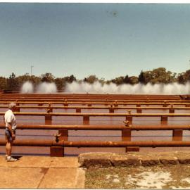 Ross Craig at Aeration Ponds, Tomago, NSW