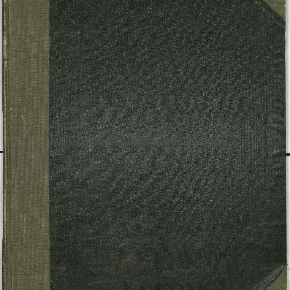 South Maitland (St Paul's) Marriage Register, 1865 - 1874