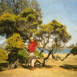 Ross Craig at Stockton Foreshore Park, NSW, [n.d.]