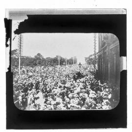 Cavalry Procession, Newcastle, NSW, May 1901