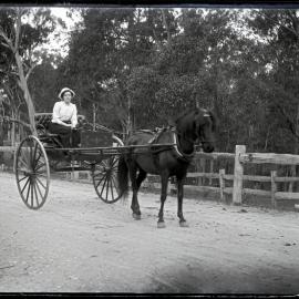 Unidentified woman in horse buggy, [n.d]